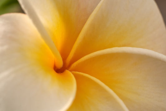 Unleashing Your Beauty Potential - Confident Skin by Julie, West Ryde Beauty Clinic