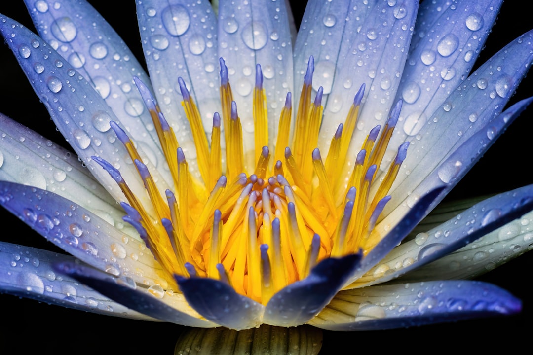 Unveiling the Beauty Within - Confident Skin by Julie, West Ryde Beauty Clinic