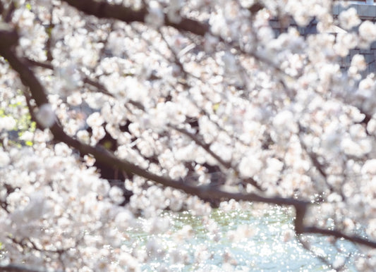 Unleash Your Radiance: The Power of Tailored Beauty Treatments - Confident Skin by Julie, West Ryde Beauty Clinic